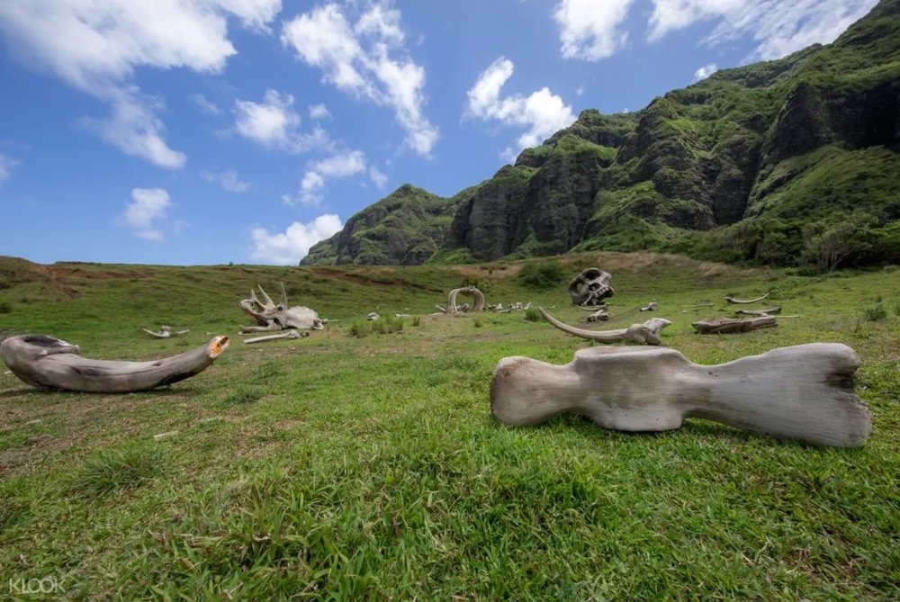 Visit the locations of where over 50 of Hollywood’s biggest blockbuster movies and TV shows were filmed