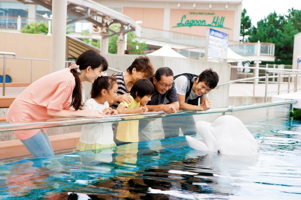 7891 八景島シーパラダイス　家族とシロイルカ