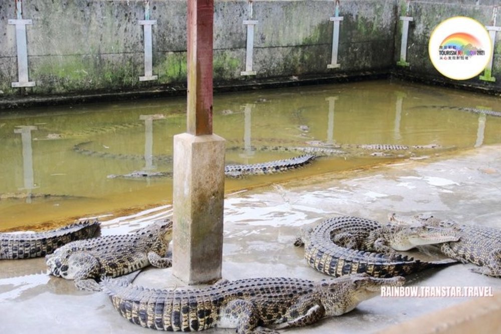 long kuan hung crocodile farm