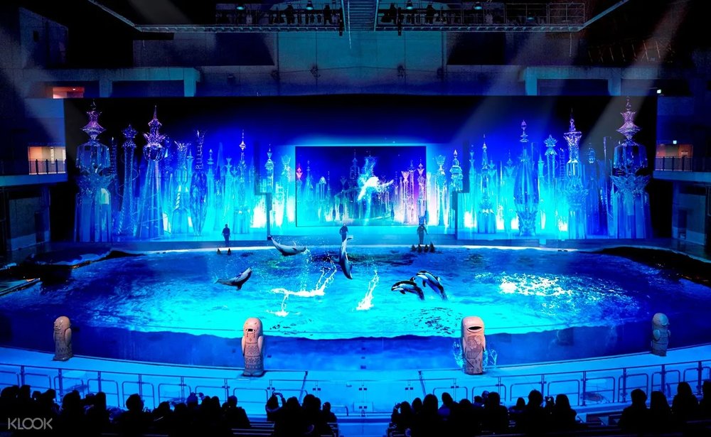 7891 八景島シーパラダイス　イルカショー夜間