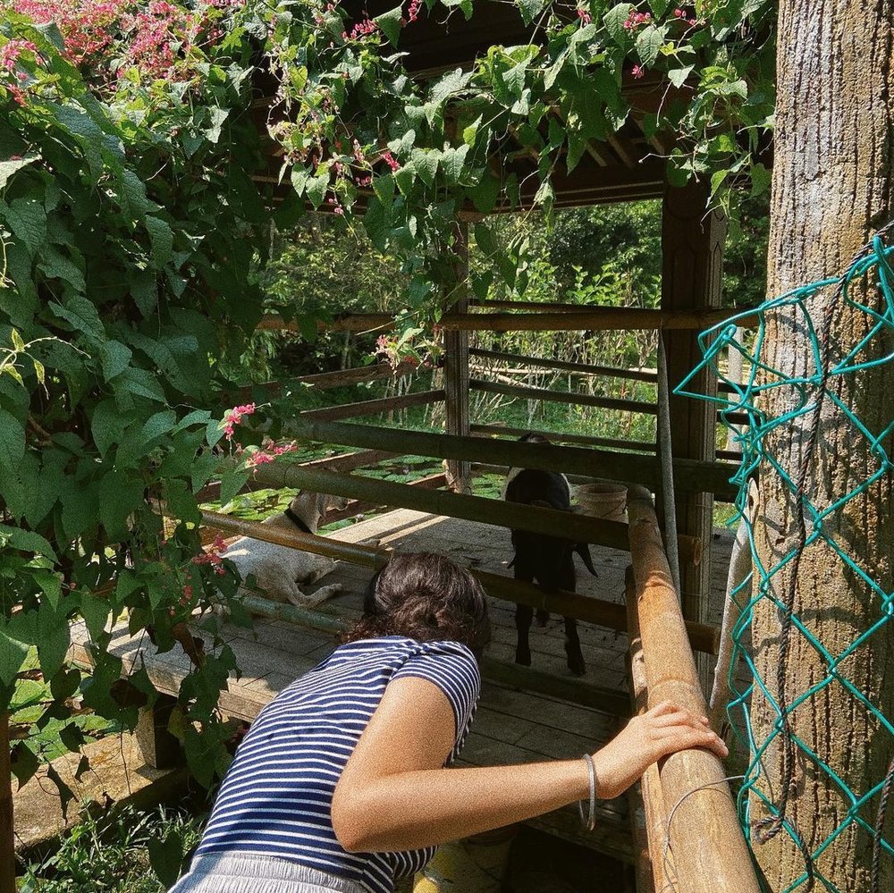 Harmony Valley Retreat best hotel in Janda Baik