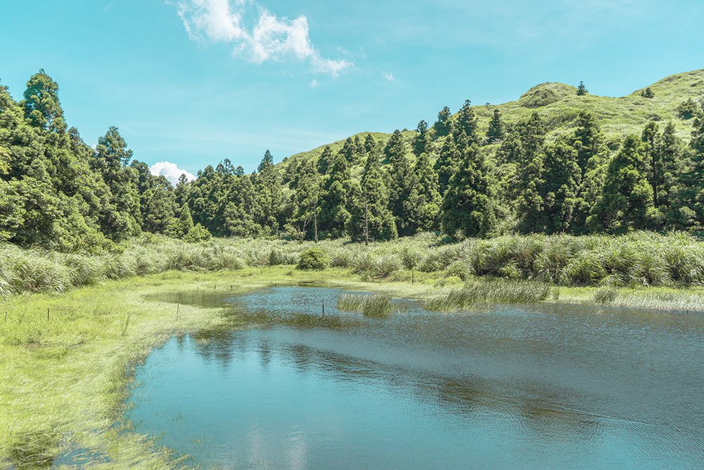 陽明山一日遊:夢幻湖