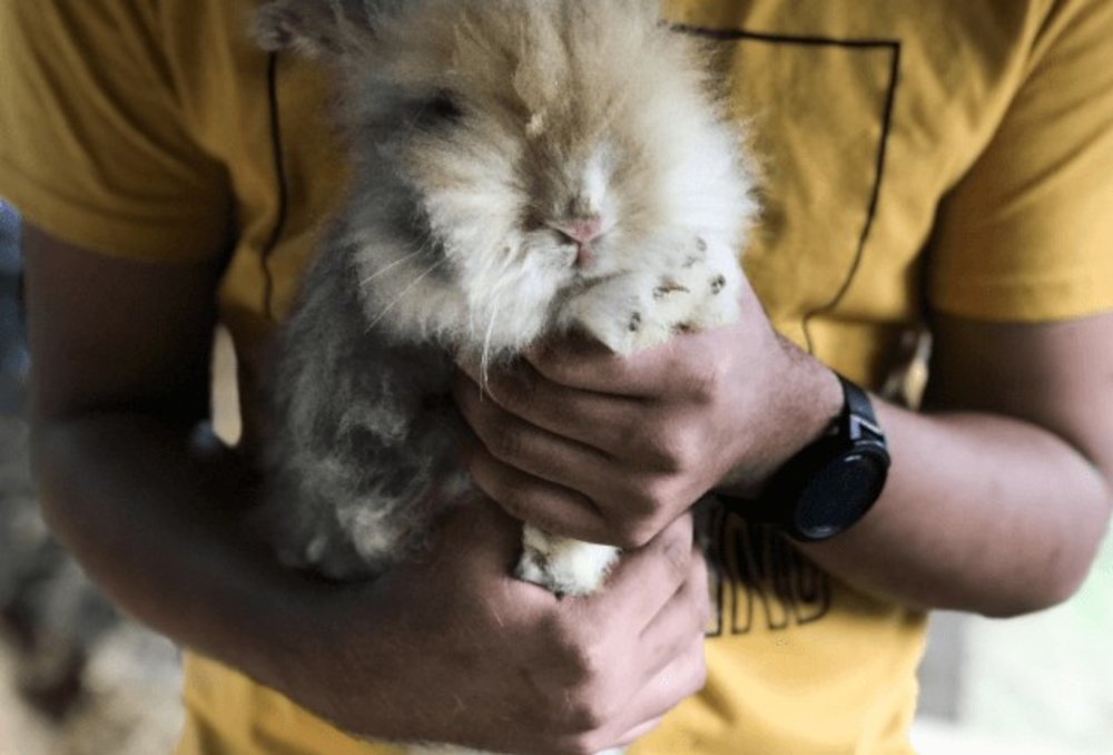 Cherengin Hills Convention & Spa Resort best hotel in Janda Baik