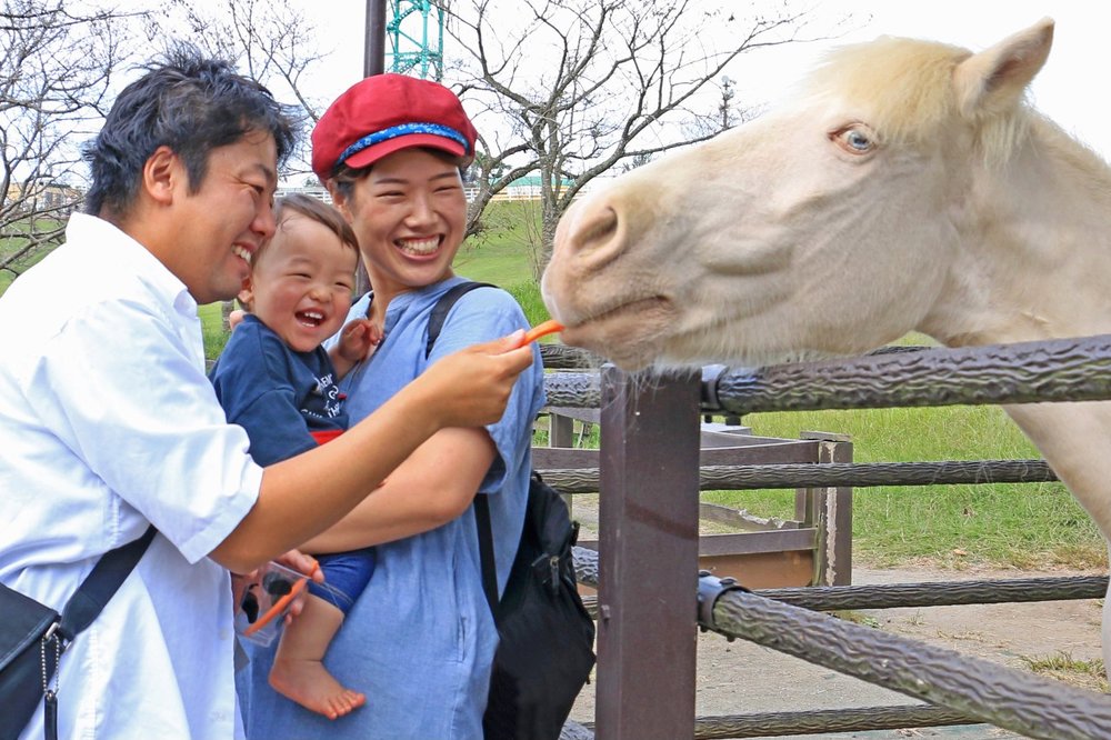 5621 マザー牧場 家族と動物のふれあい
