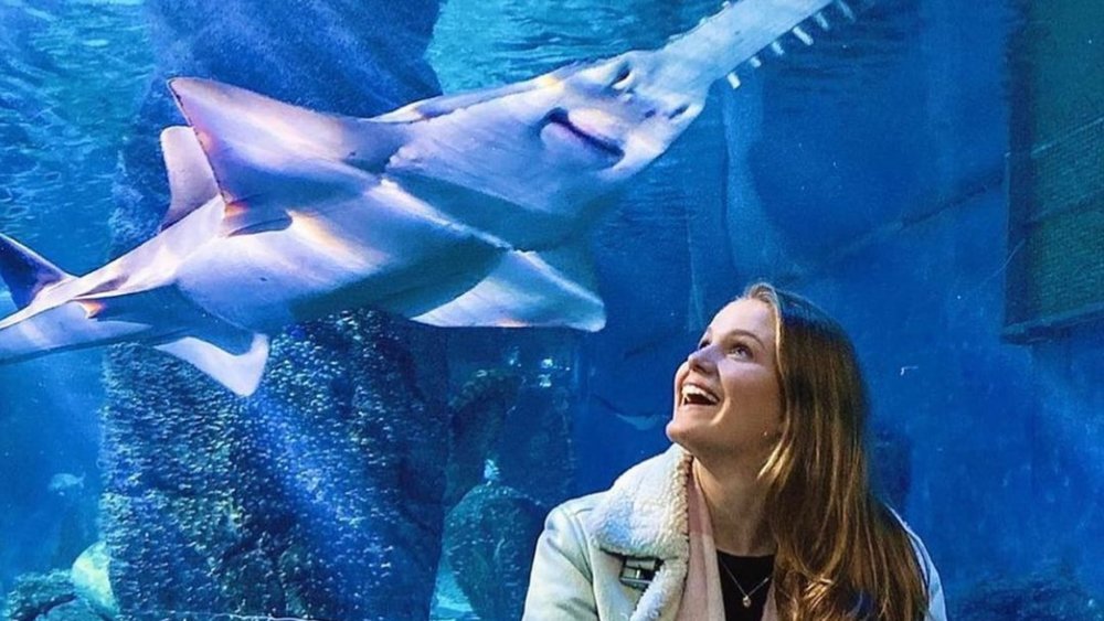 Meet the unusual but remarkable creatures of the sea at SEA LIFE Melbourne Aquarium.  Image credits: @sealifemelbourneaquarium on Instagram