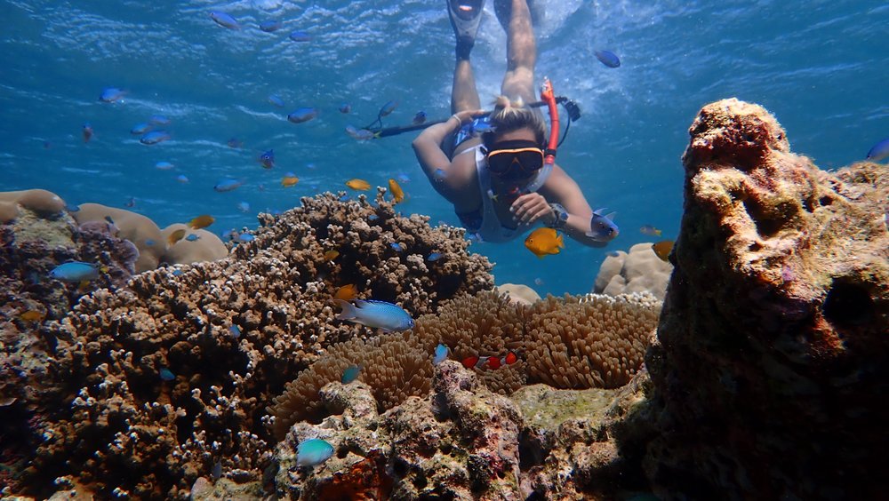 surin islands day trip