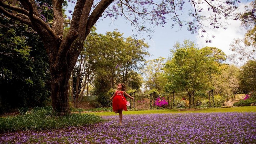 Have fun roaming around Noosa Botanic Gardens! Credits: @katrinaelizabethphotography