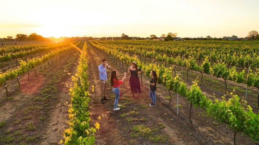 Learn about the art of winemaking straight from the experts. Credit: @theswanvalley
