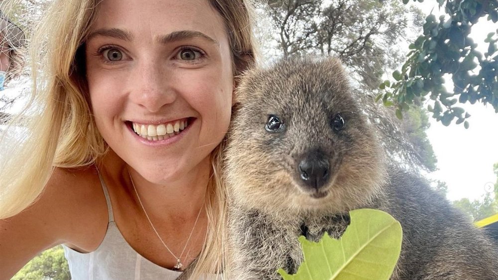 Take a photo with the most adorable quokkas at Rottnest Island! Credit: @dominating_aus