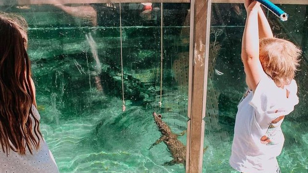 Even the little ones can join in the fun! Credit: @crocosauruscove