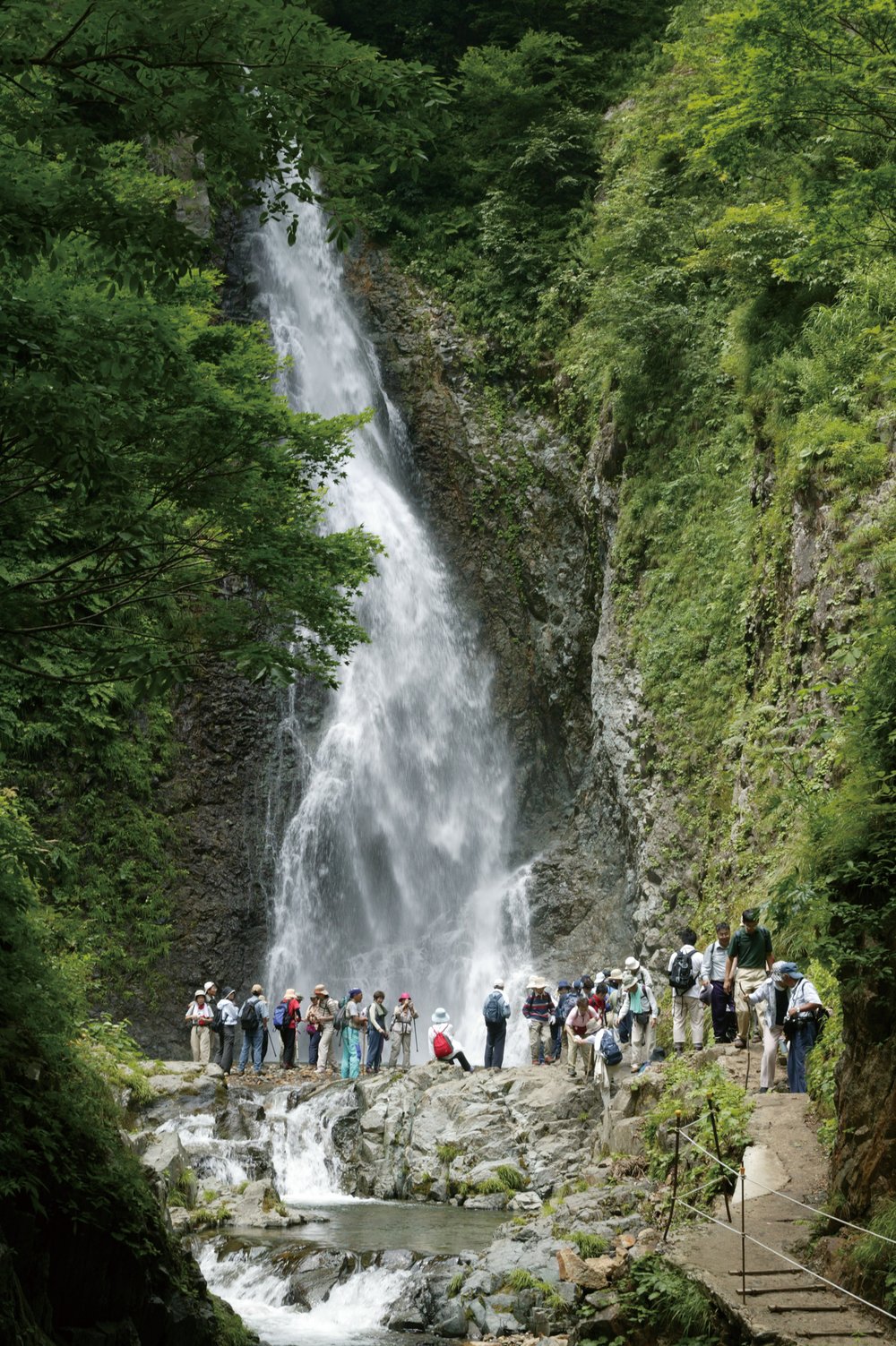 Shirakami Sanchi with tourists