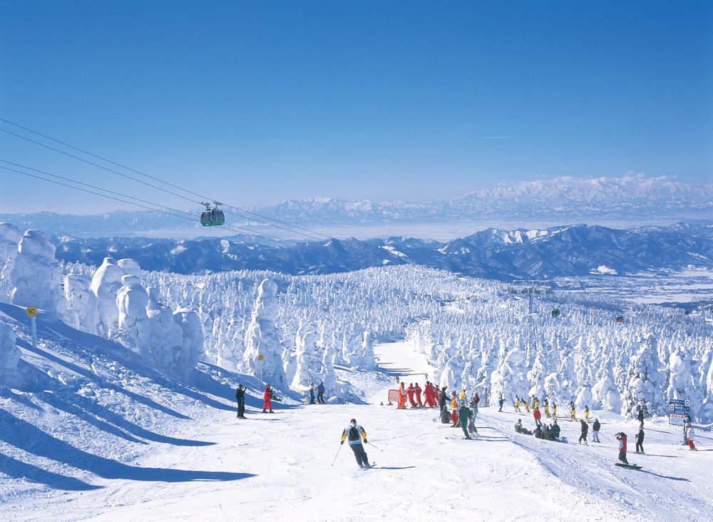 Tourists skiing