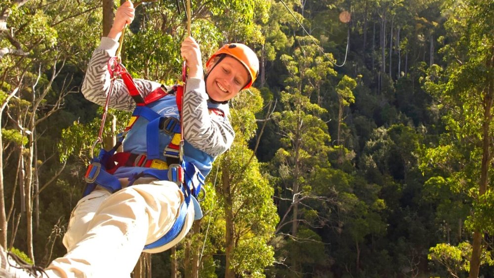 Feel the rush at this exciting zipline tour! Credits: @hollybankwildernessadventures
