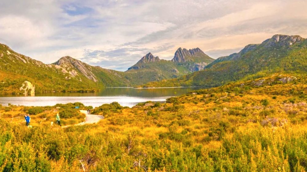 Be inspired by nature’s best at Cradle Mountain. Image Credits: Klook