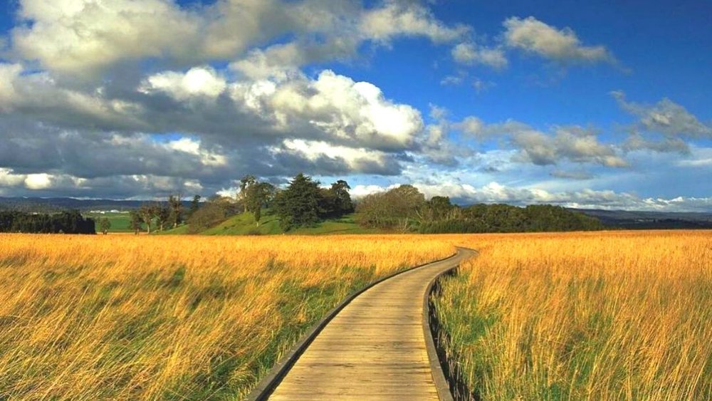 The dreamiest place in Launceston! Image Credits: @tamarvalleytasmania