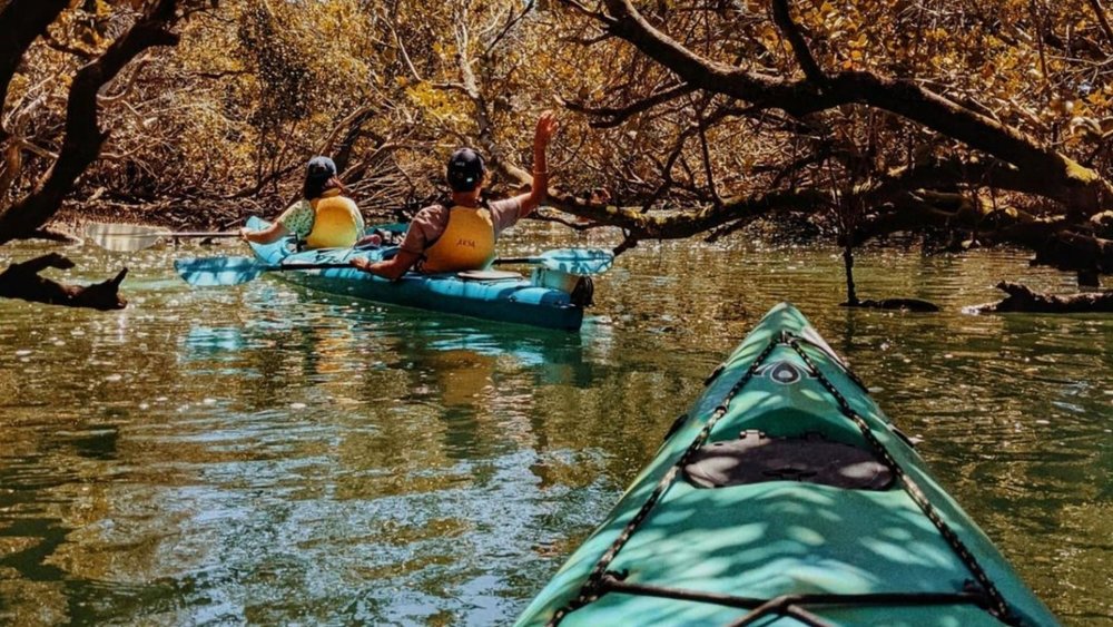 Feel like a real adventurer on this insightful journey. Image credits @tales.of.april on Instagram