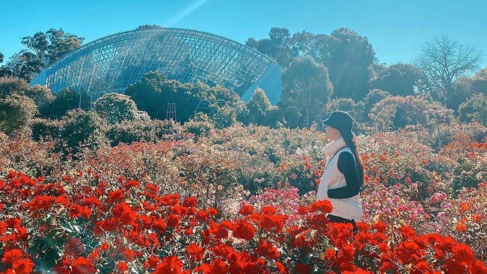 Always remember to stop and smell the roses! Image credits @emily.uoi on Instagram