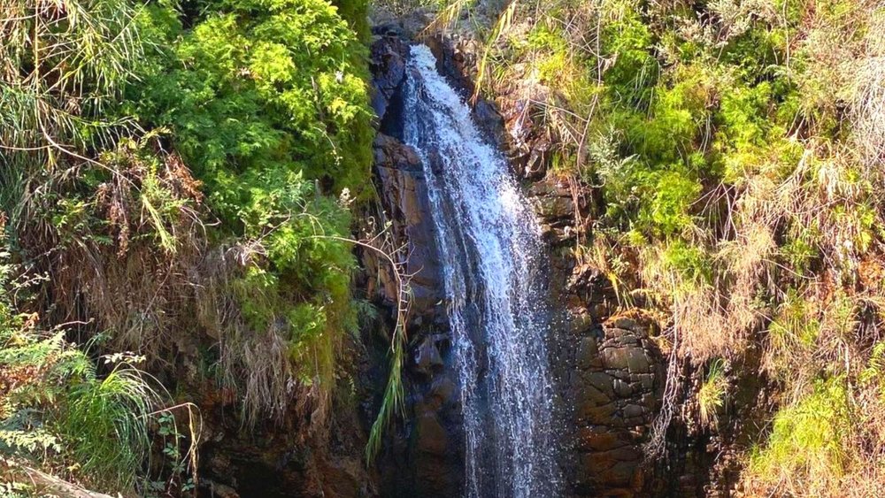 Just another reason to love Mother Earth! Image credits @shanelle_phillips on Instagram