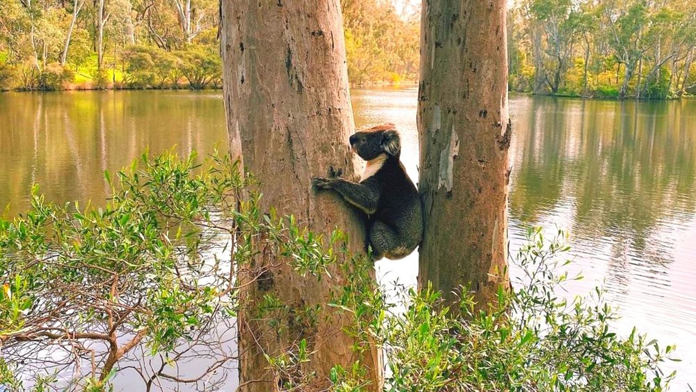 This park is a breath of fresh air–literally. Image credits @meriellaura on Instagram