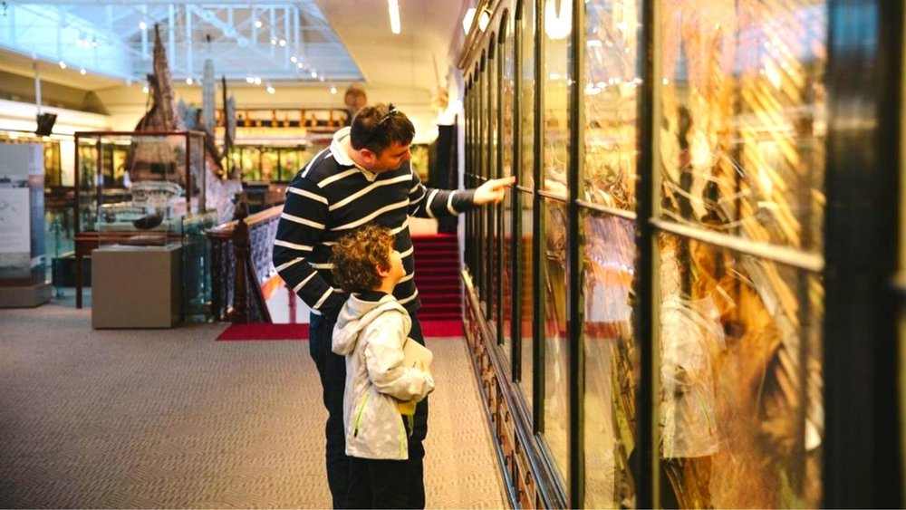 Get ready to ‘ooh’ and ‘ahh’ at the wonders of the South Australian Musuem. Image credits @southaustralianmuseum on Instagram