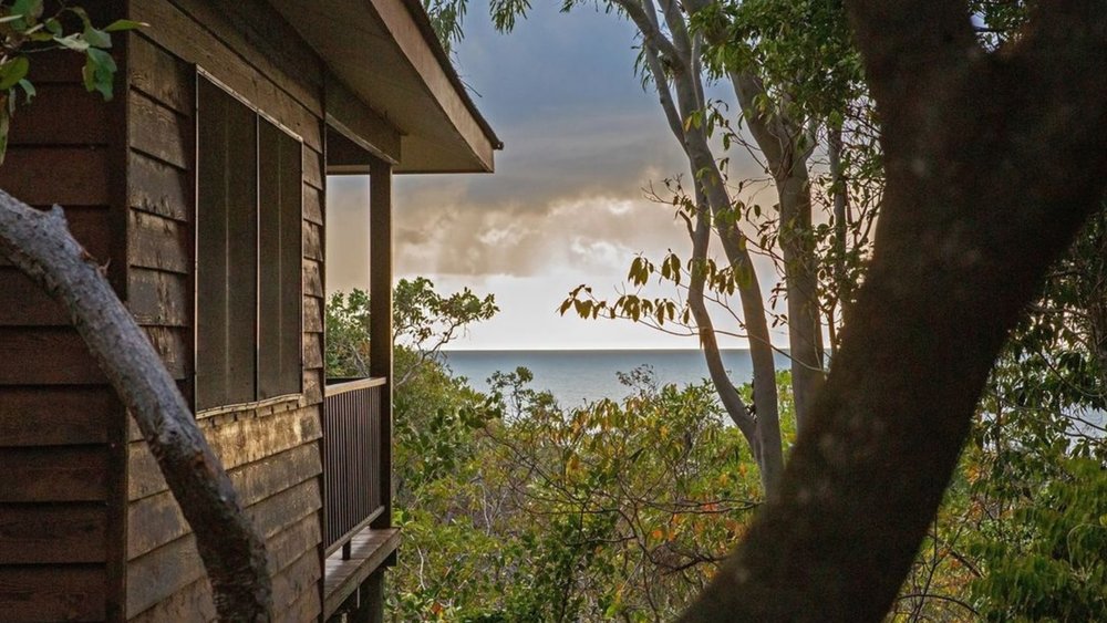 Wake up to this view at Thala Beach Nature Reserve! Image credits: @lovegreen_photography from @thalabeach on Instagram