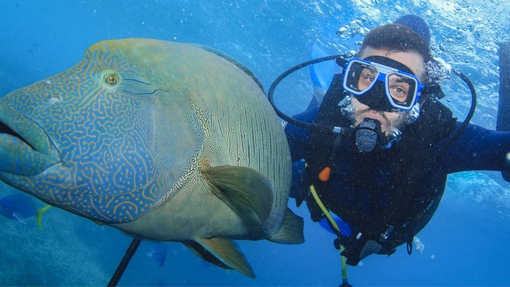 Bring your underwater cameras for the most iconic selfies ever. Image credits: @alxbnd92 on Instagram