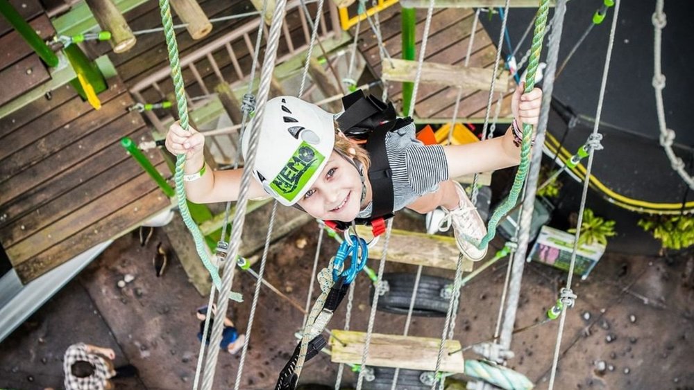 Puff up your chest and show off your muscles at Cairns ZOOM & Wildlife Dome. Image credits: @cairnszoom on Instagram