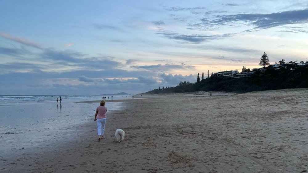 Play with your dog at Sunshine Beach. Image credits: @vz757 on Instagram