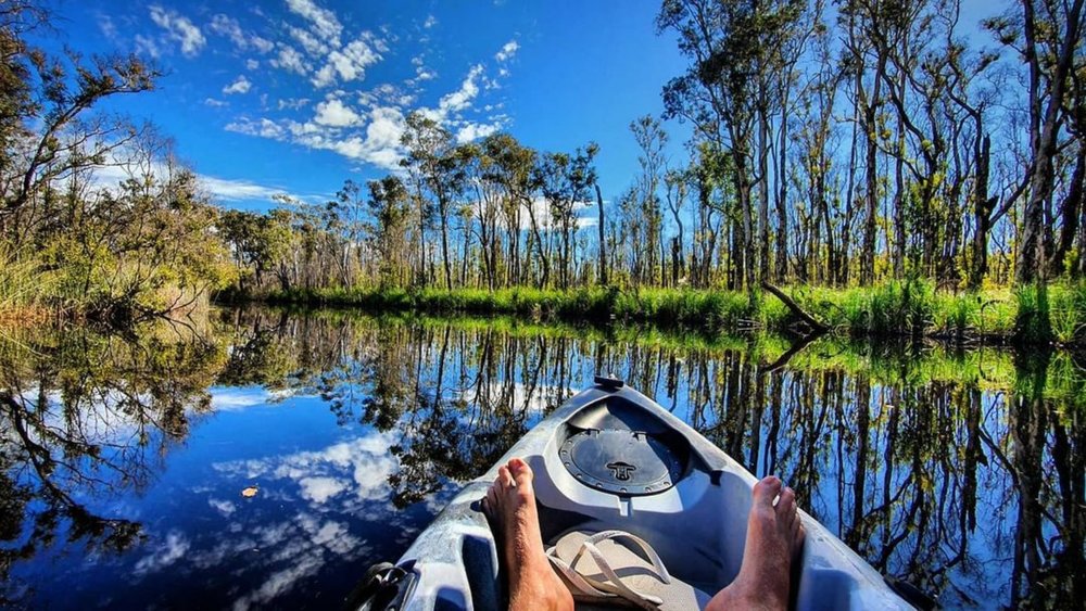 Watch your reflection as you cruise along the Noosa Everglades. Image credits: @jbpricey86 on Instagram