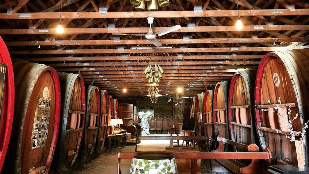 Explore the cellar and learn about the art of winemaking at Pieter Van Gent Winery. Image credit: @pietervangentwinery on Instagram