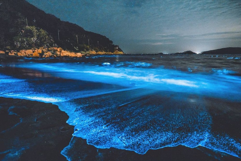 馬祖藍眼淚觀賞地點:午沙沙灘