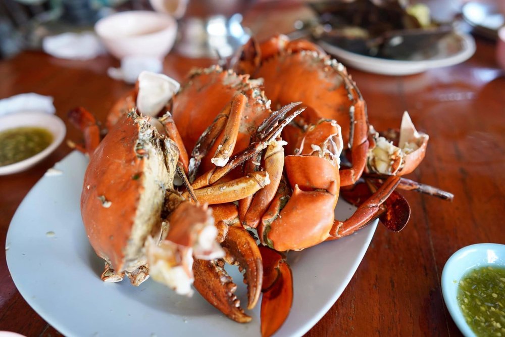 เคียงเลซีฟู๊ต กาญจนดิษฐ์ สุราษฎร์ธานี 3