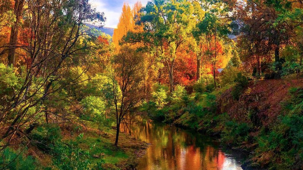Follow the Bright Canyon Walk during autumn and see the yellow, red, and orange leaves. Image credit: @adhicihuy on Instagram