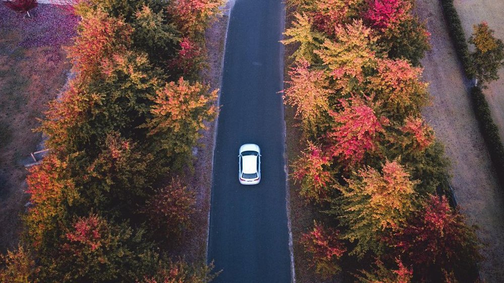 Mt. Macedon is one of the best places to be during autumn. Image credit: @brenton_captures on Instagram