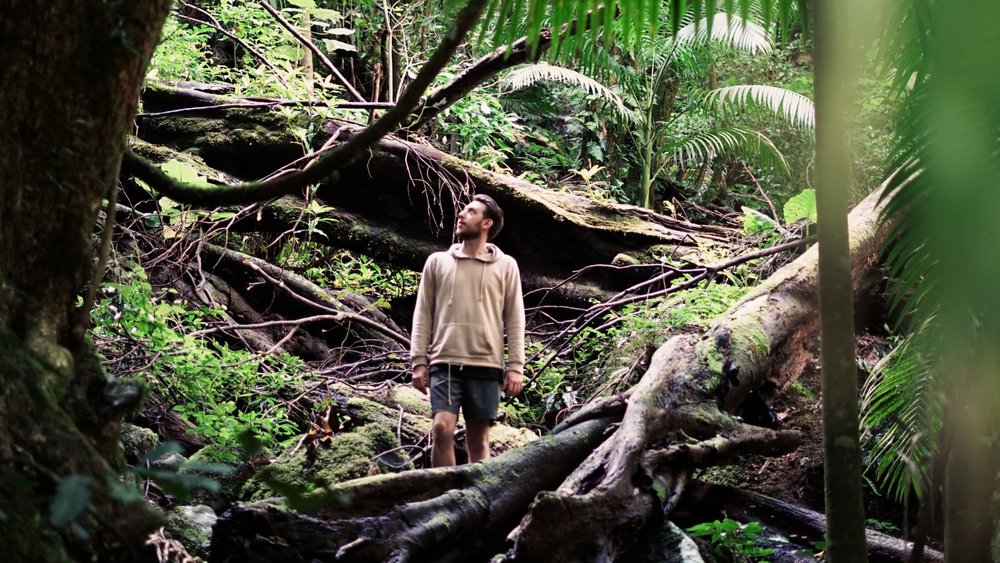 Ditch the busy city for a day and head to Lamington Park for a nature getaway! Image credits: Chris Fuller on Unsplash