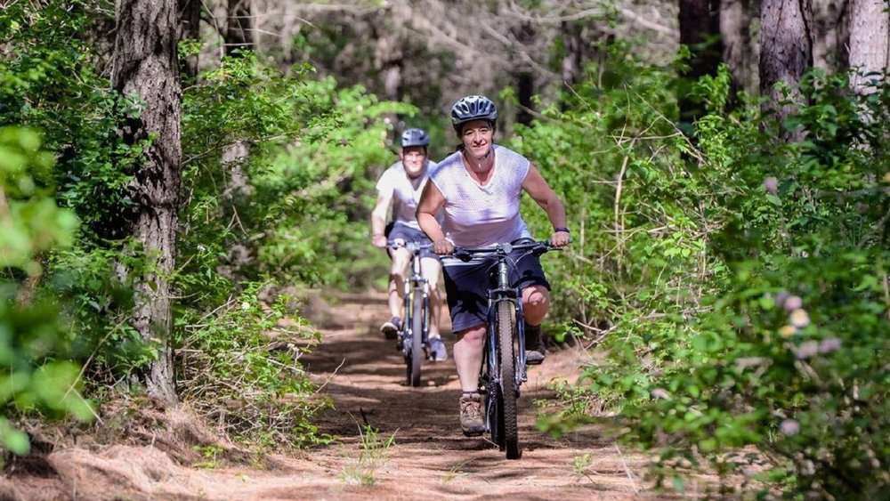 Toowoomba may stray away from the Queensland coast, but it has no shortage of quaint gardens, heritage walks, parks, and other nature retreats! Image credits: @toowoombaregion on Instagram