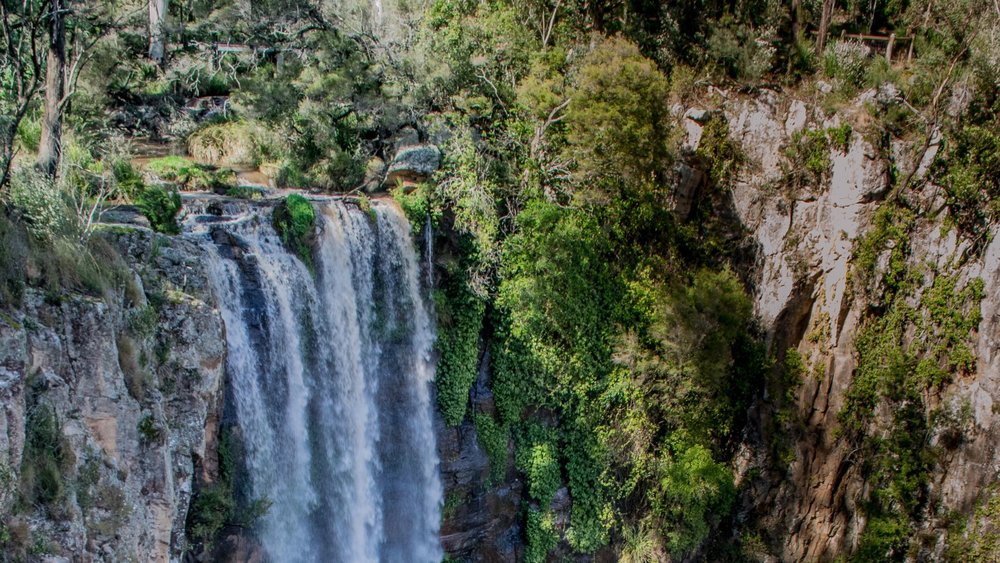 The majestic Queen Mary Falls is worth the two-hour drive from Brisbane. Image credits: @photouki on Unsplash