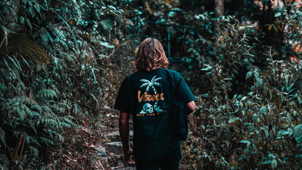 Springbrook National Park is ready to accommodate you for a nature retreat! Image credits: to BAILEY MAHON on Unsplash