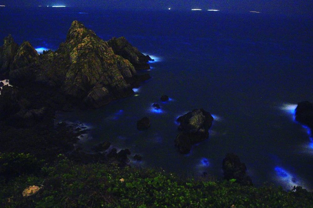 馬祖藍眼淚觀賞點:東莒