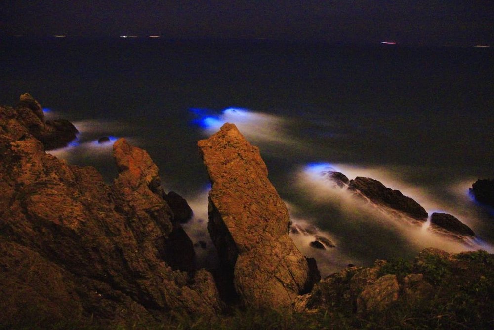 馬祖藍眼淚季節:東莒