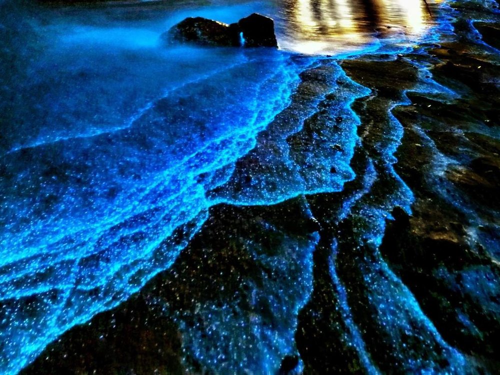 馬祖藍眼淚觀賞景點:北竿后澳沙灘