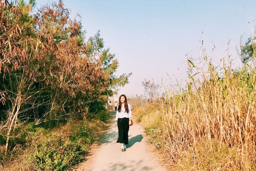 頂頭額沙洲走訪紀事