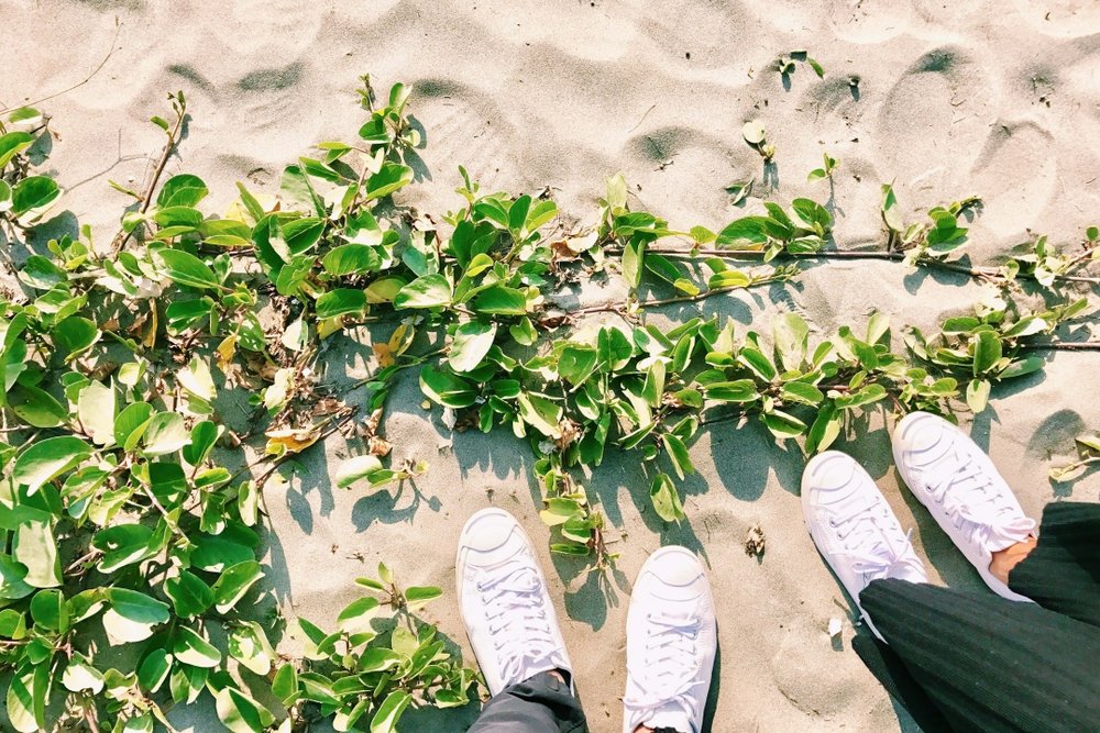 頂頭額沙洲：台版撒哈拉沙漠