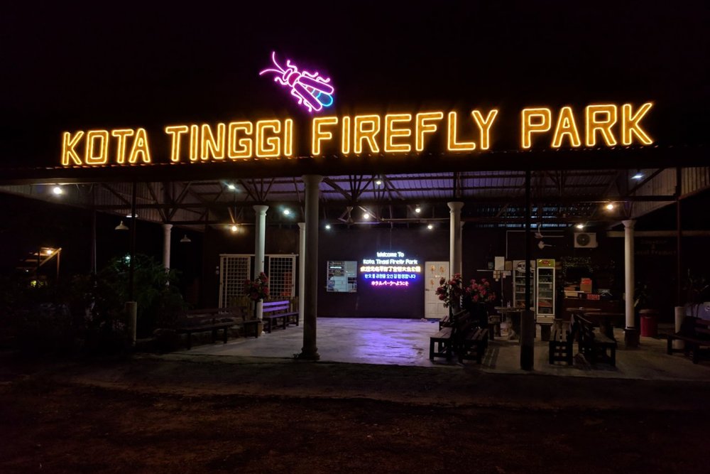 Kota Tinggi Firefly Park best place to visit in JB