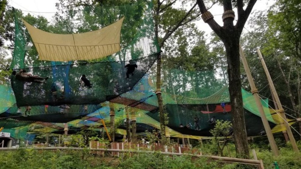 The fun begins as soon as you enter Metsa Village!