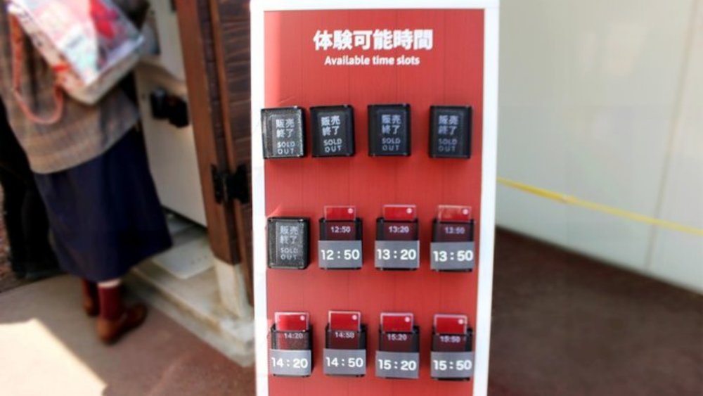 The zip line operates every 30 minutes, so make sure to pick a time that’s not sold out!