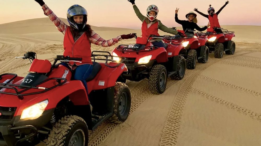 King of the road and of Port Stephen’s desert dunes