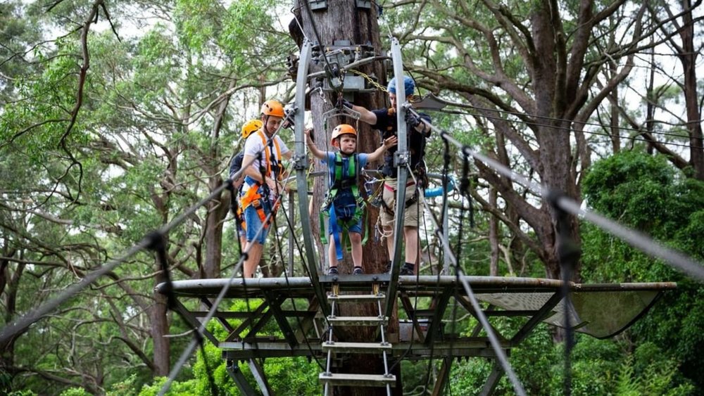 Hang in there! Image credits: @illawarrafly on Instagram