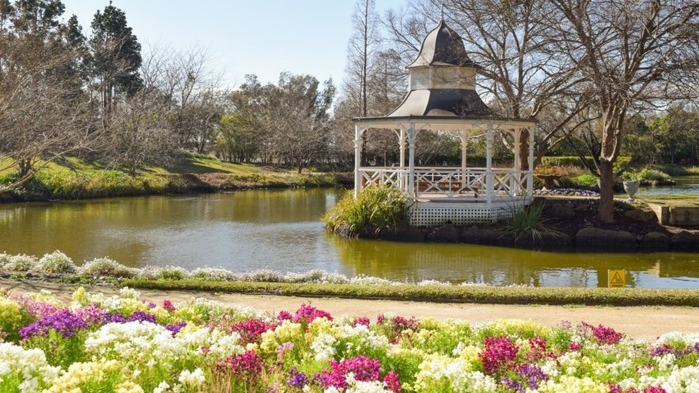 Someone call the Mad Hatter for a tea party! Image credits: @huntervalleygardens on Instagram