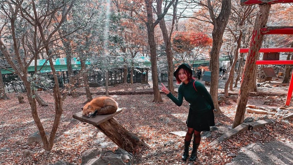 Spot them curled up and napping at the Inari Shrine. Image Credits: @satsukizm13